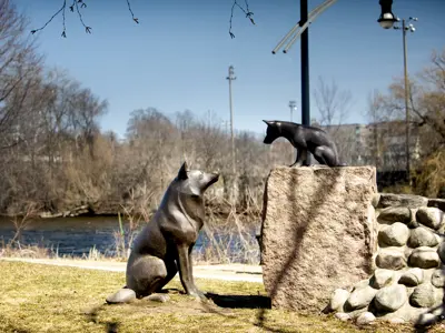 Sculpture of wolf and wolf pup